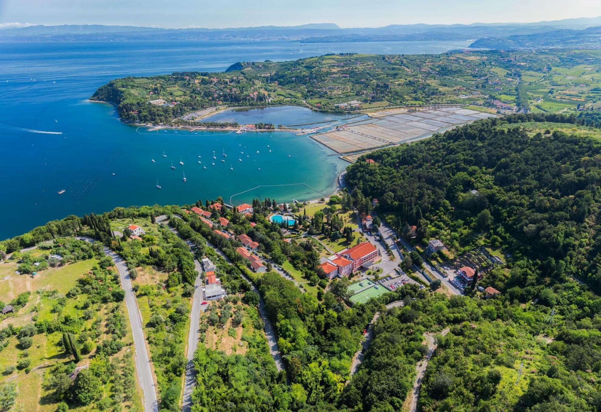 Sea View Apartment Renzzo Strunjan Exterior foto